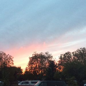 Meet your Posher, Asahel